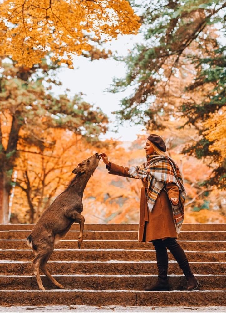 осенняя Япония