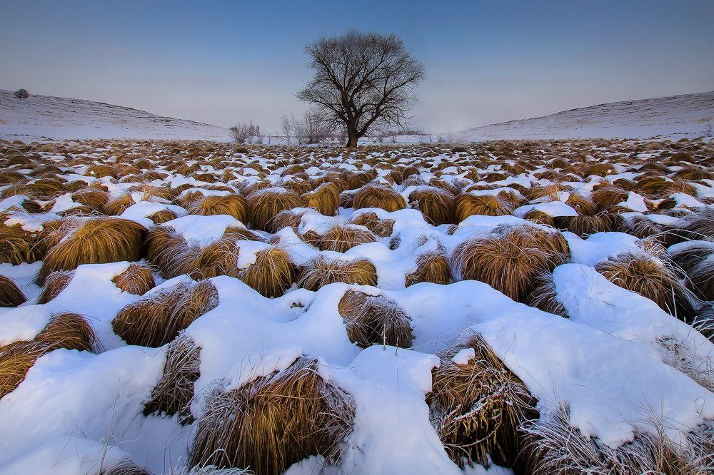 Головы Воинов Чингиз - Хана!