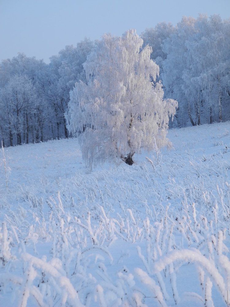 Поздний рождественский рассвет