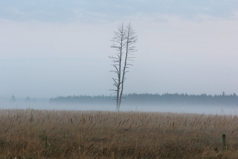 Один в поле