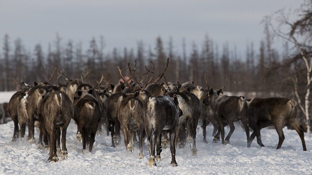 Зима уходит