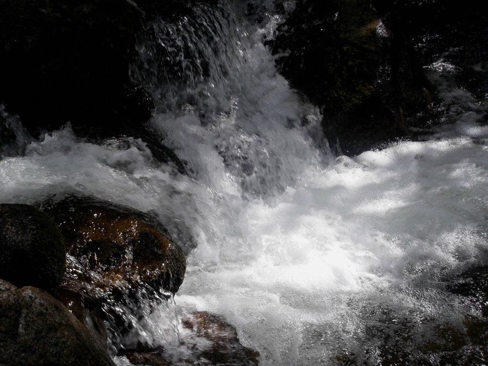 Photograph by Ирина