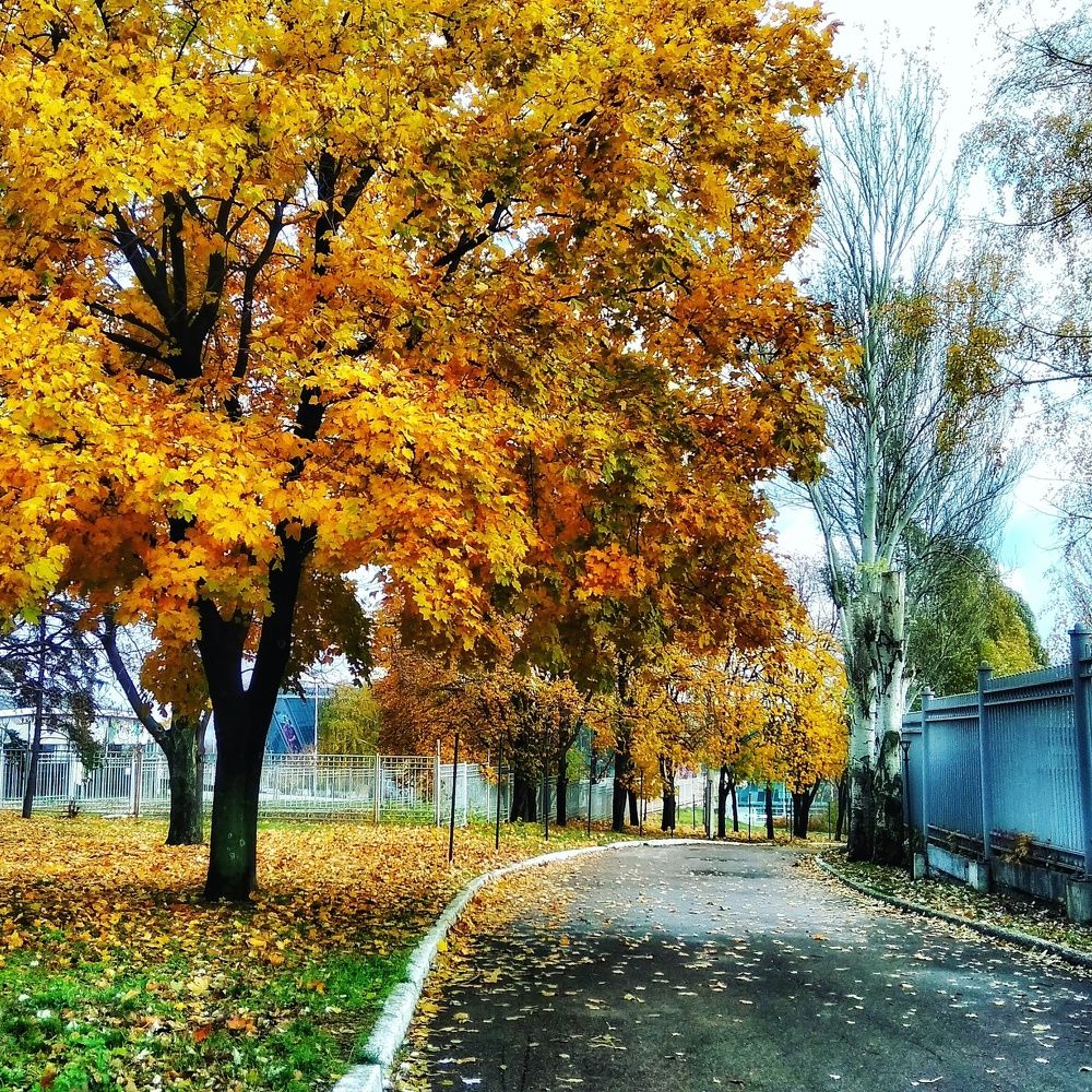 Осенняя краска