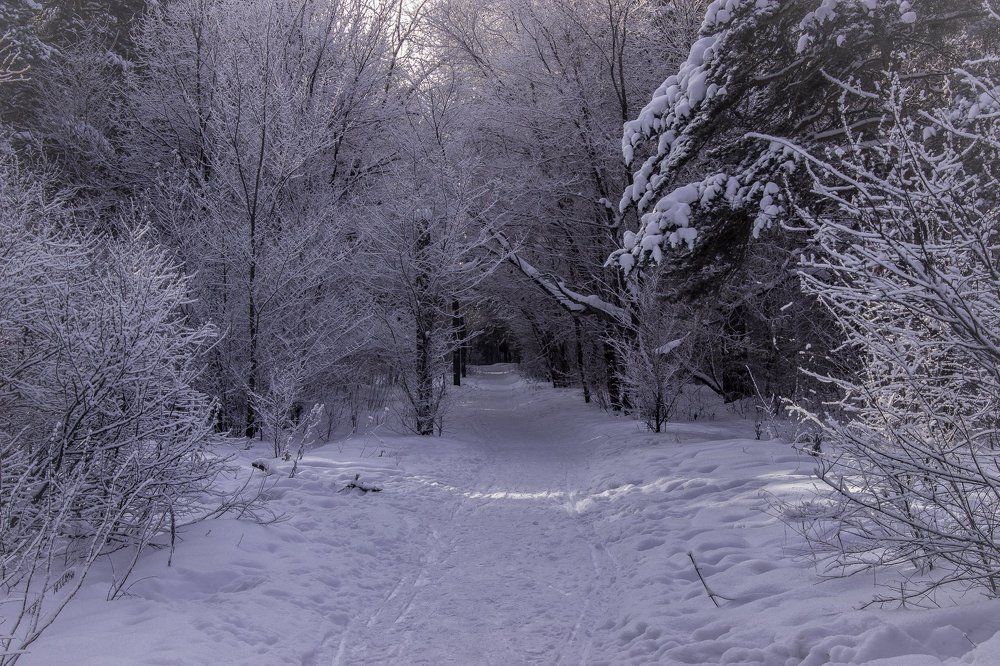 Photograph by Александр Волков