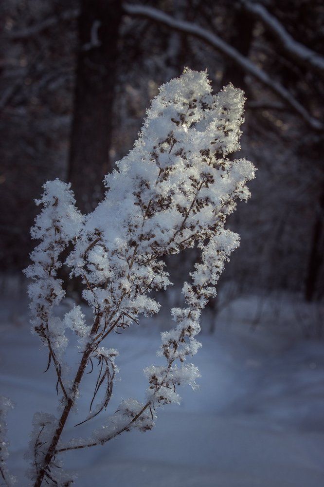 Photograph by Александр Волков