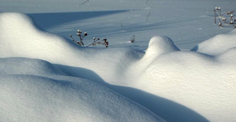 Photograph by Ирина