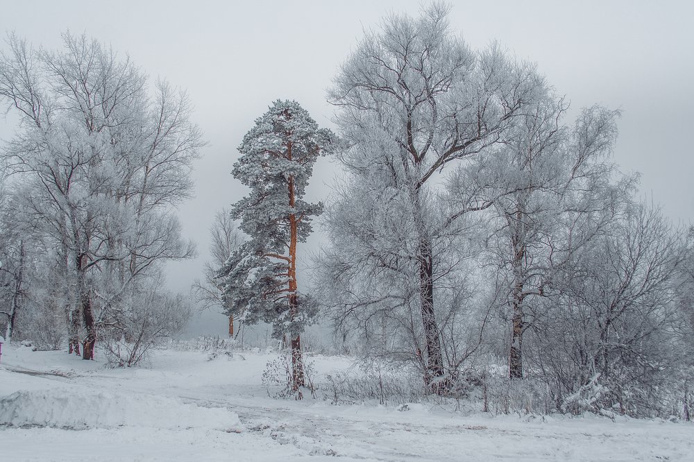 Photograph by Екатерина