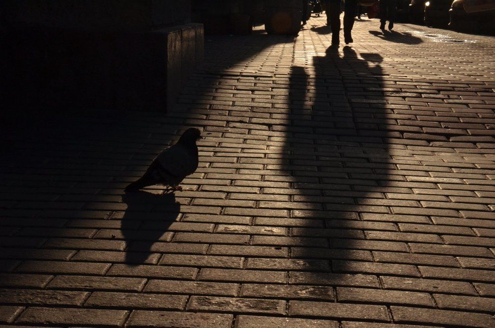 Полуденные тени