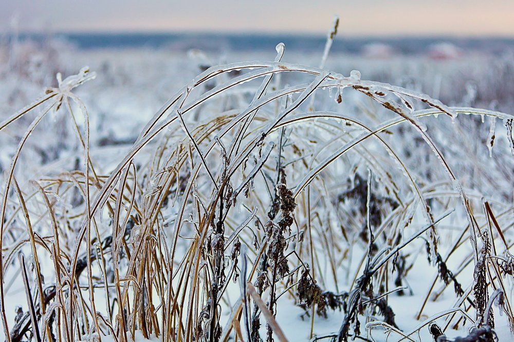 Ледяные оковы