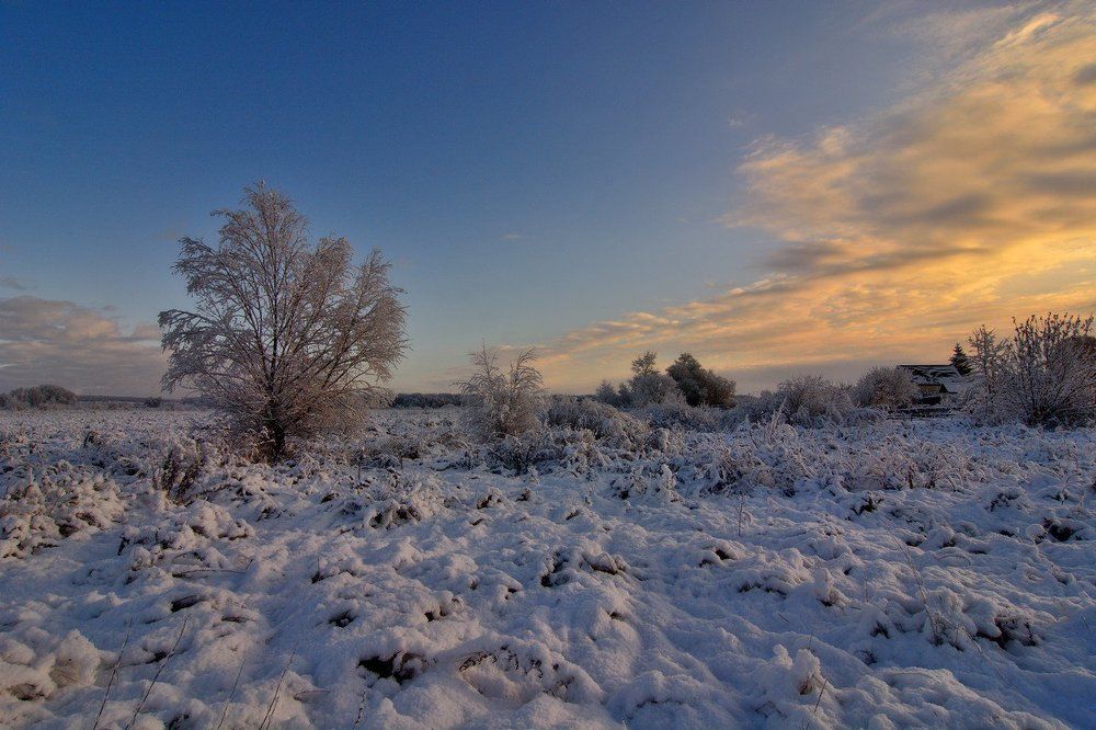 Снежное утро.