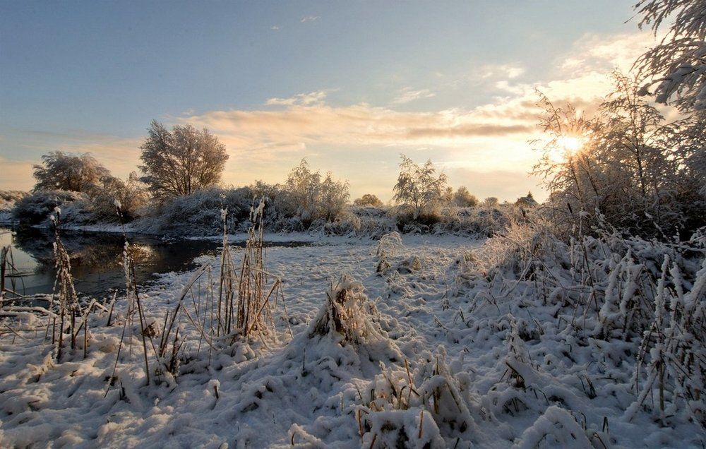 Снежное утро 2.