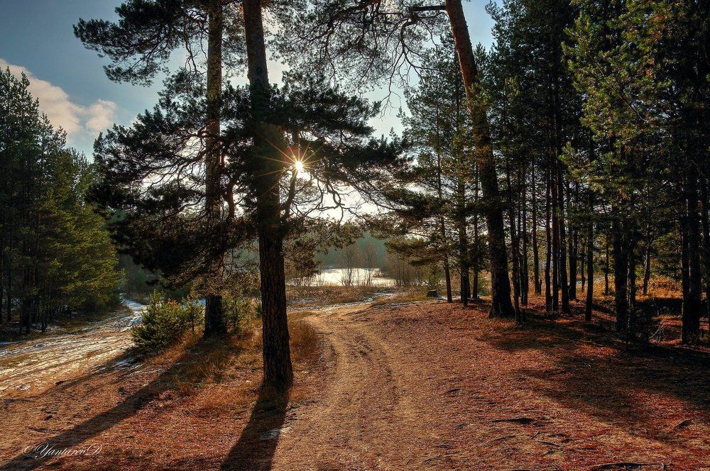 К лесному пруду.