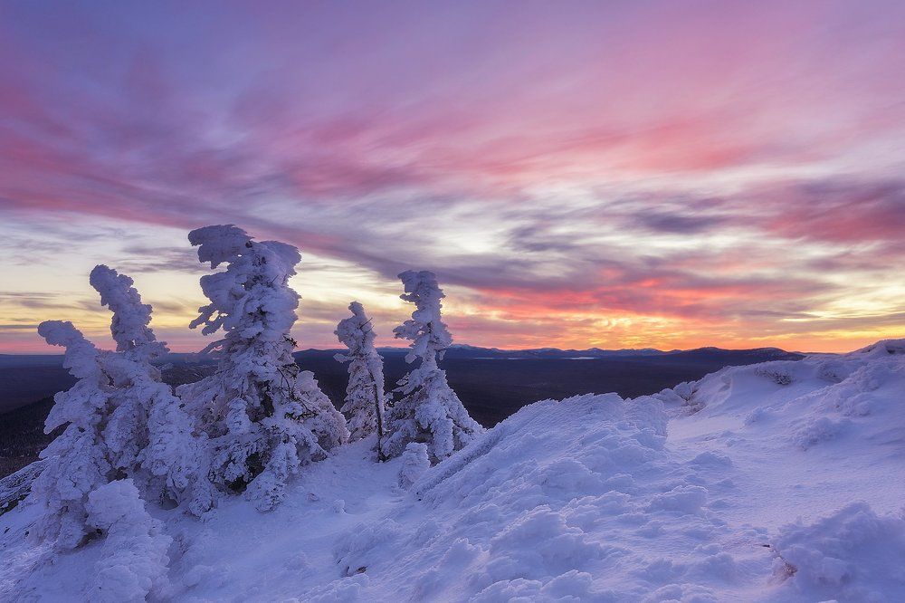 Наблюдатели...