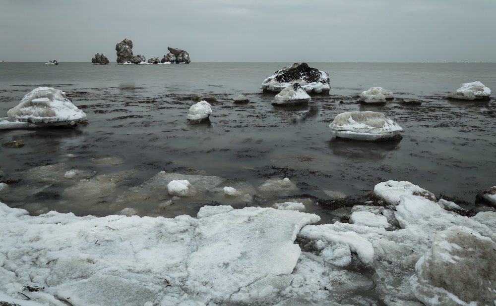 Зимовка камней-черноморов.