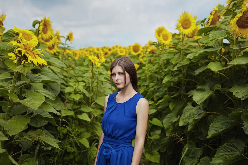 Дівчина в соняшниках