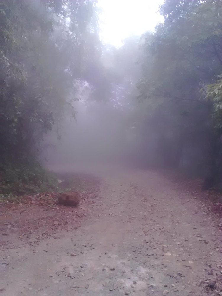 Фотография автора Saruna