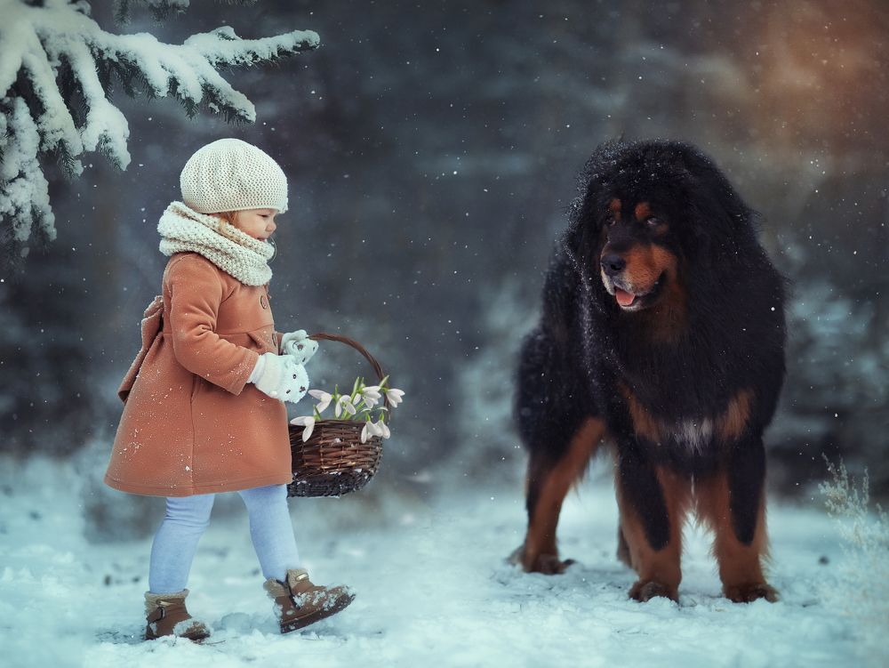 Photograph by Алена