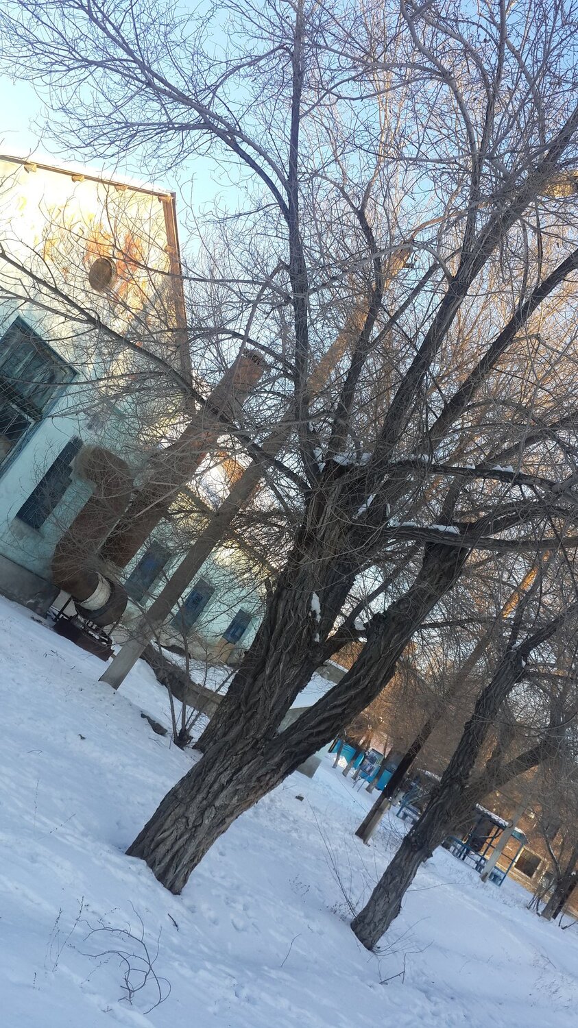 Дерево украшения