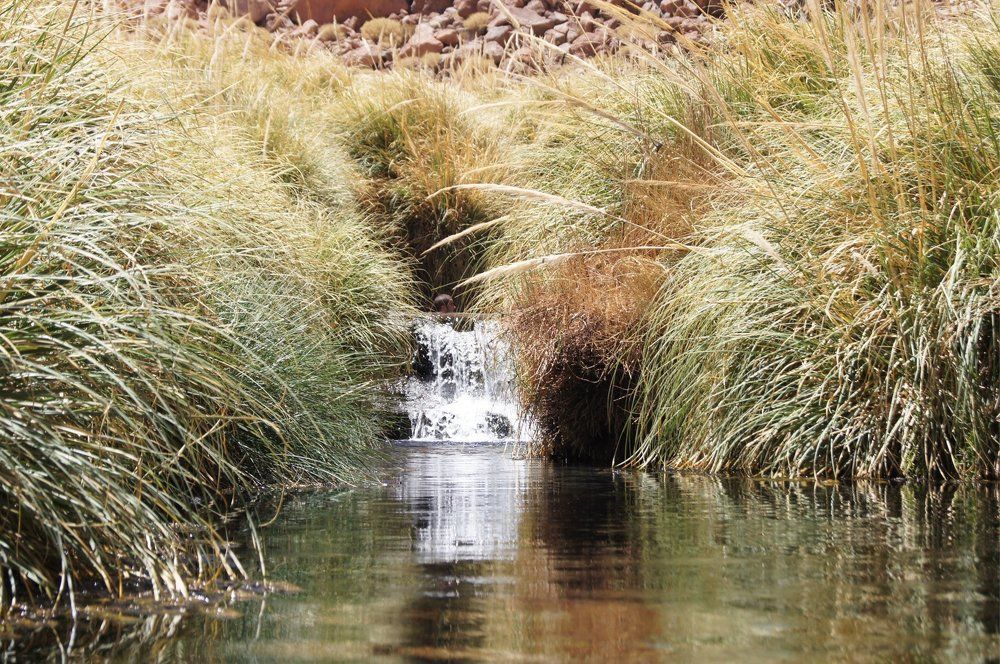 The shy waterfall