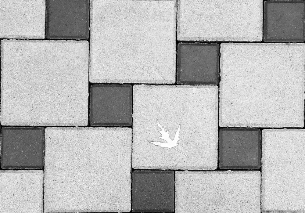 Осенний лист.