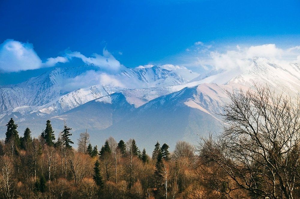 Photograph by Александр Орнатский