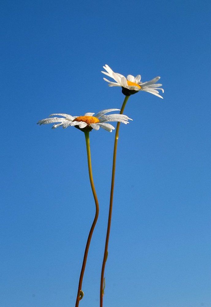 только мы...