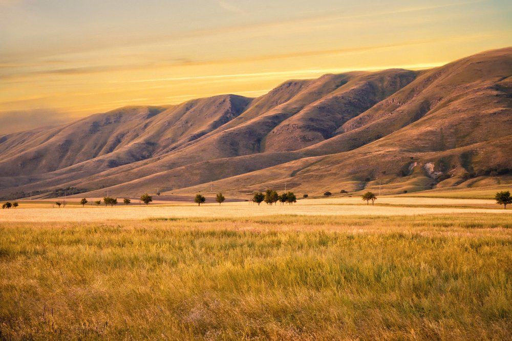 Теплое утро