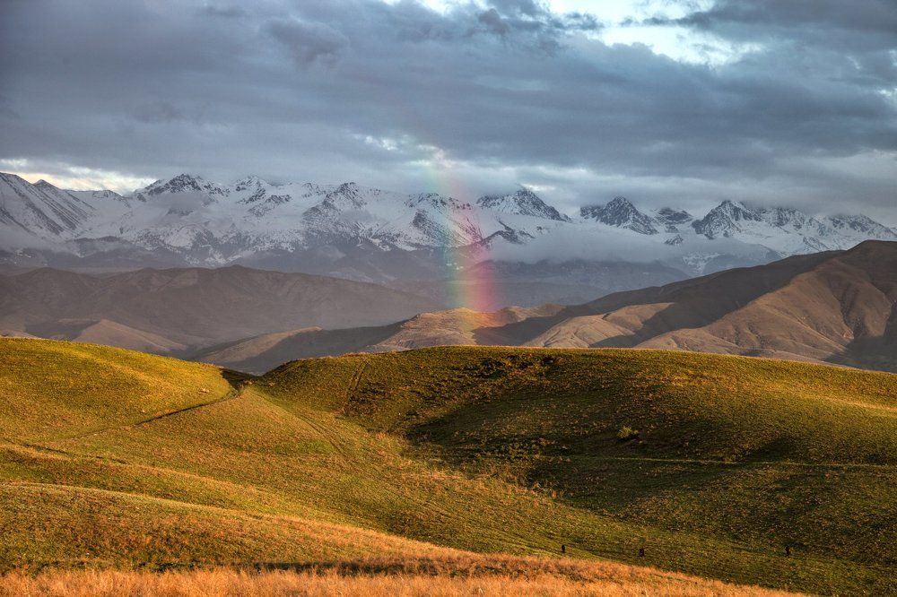 После дождя