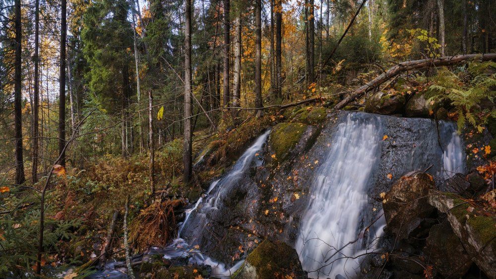 Безымянный поток.