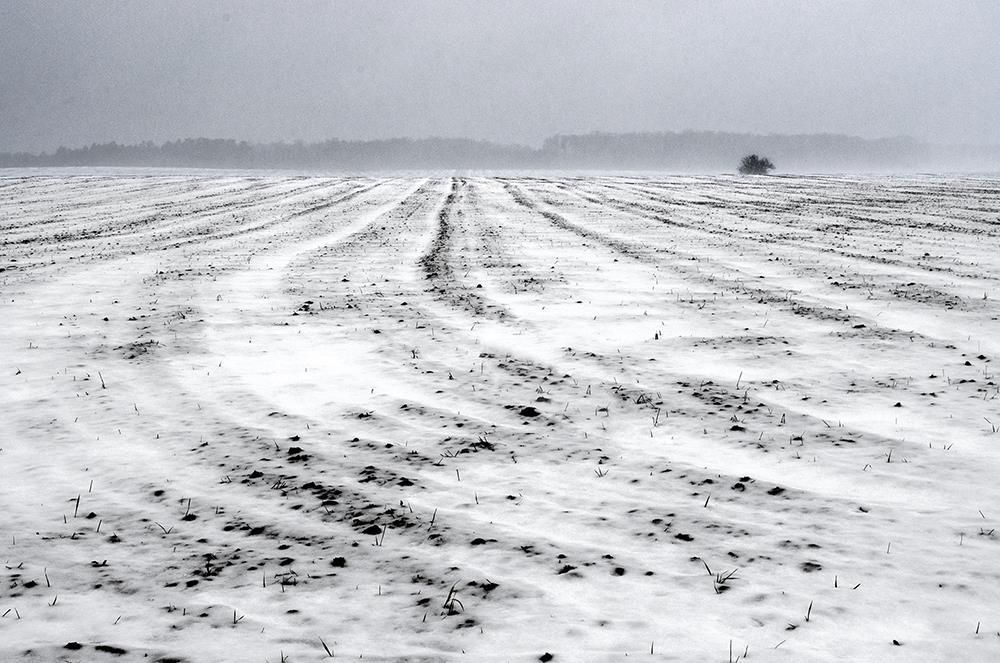 В чистом поле