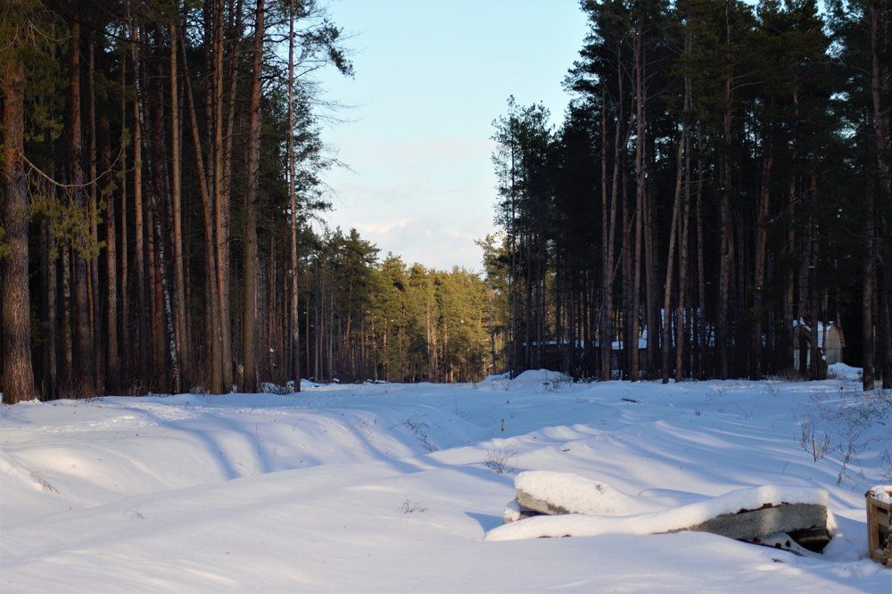 Photograph by виктор