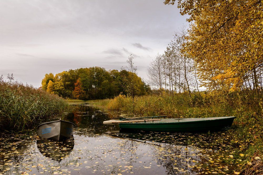В ожидании рыбака