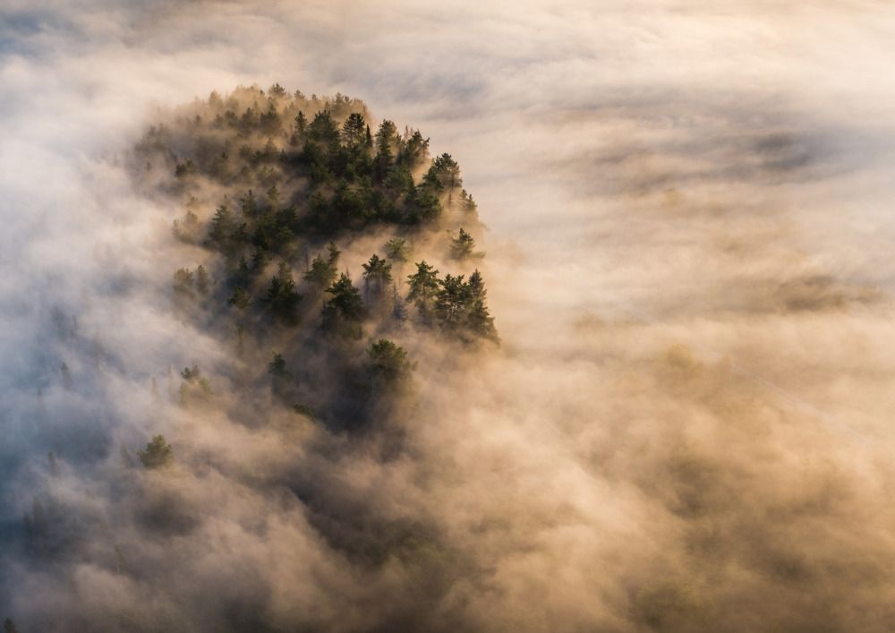 Утренний туман