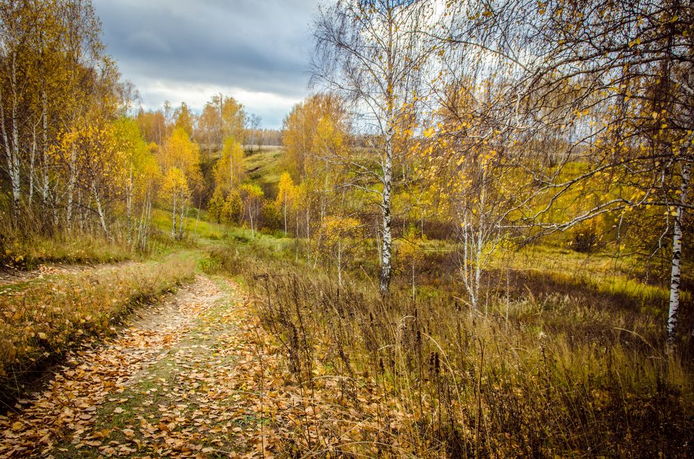 В глубь осени...
