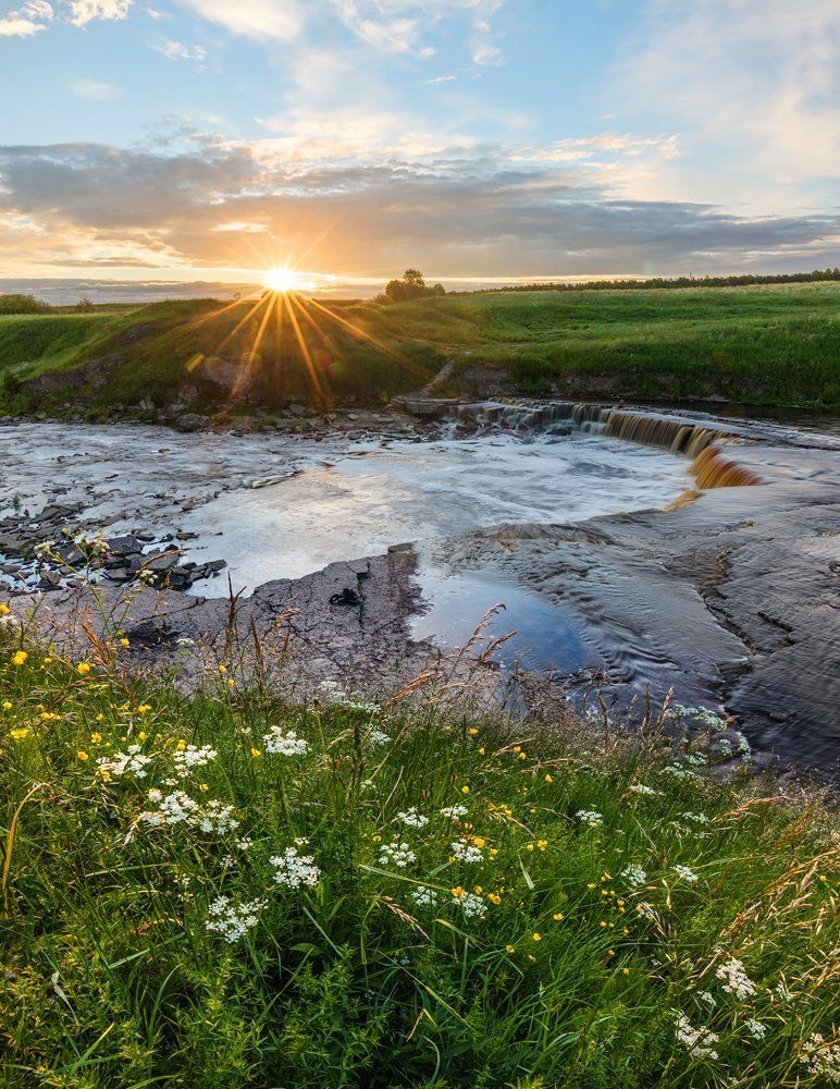Настроение летнего утра