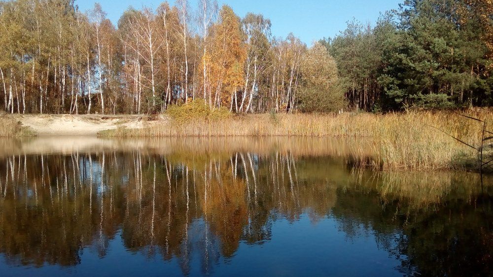 Пейзаж