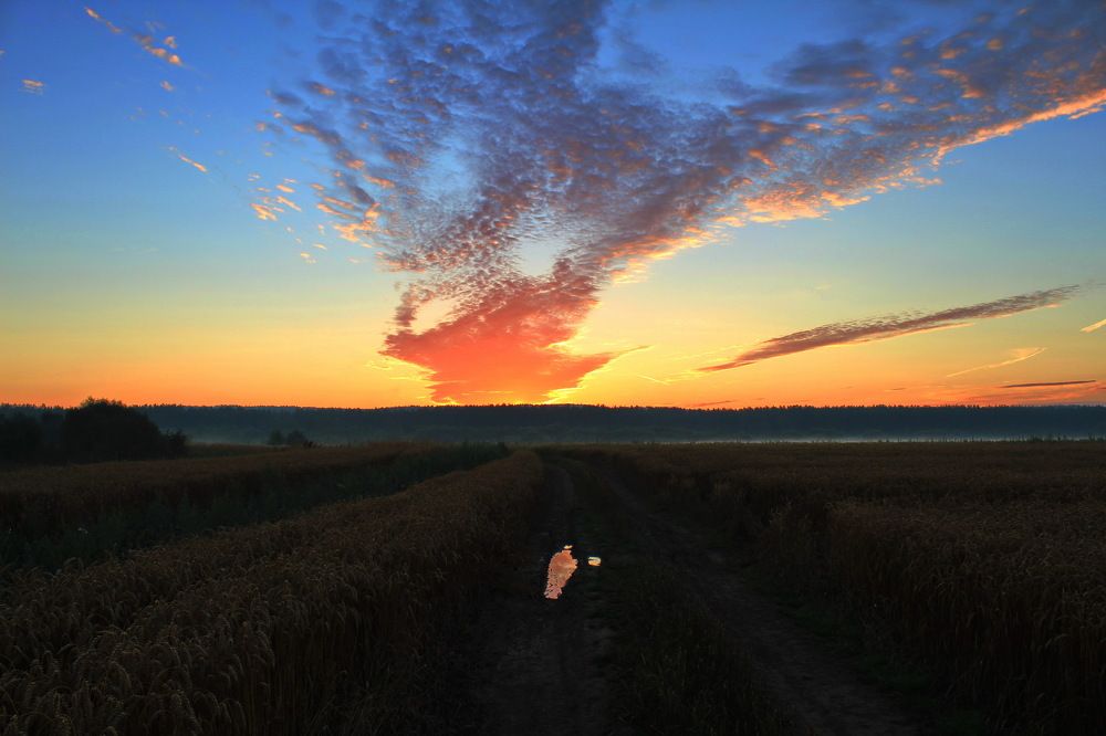 Однажды на рассвете