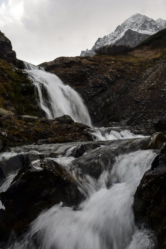 Photograph by ANTON GUTMANN