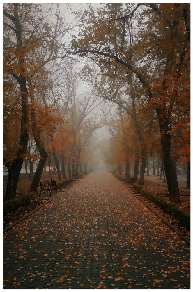 Осенний парк