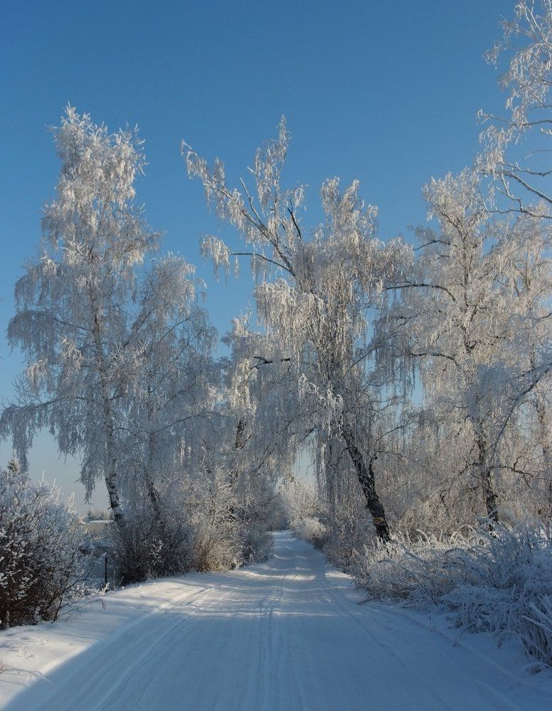 Photograph by Алексей Марков