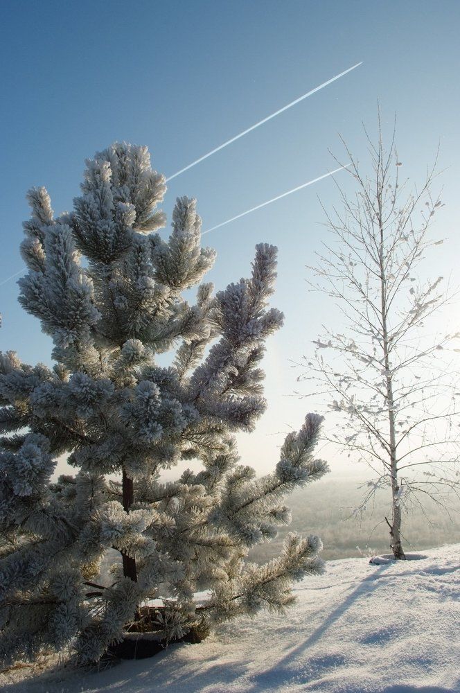 Photograph by Алексей Марков