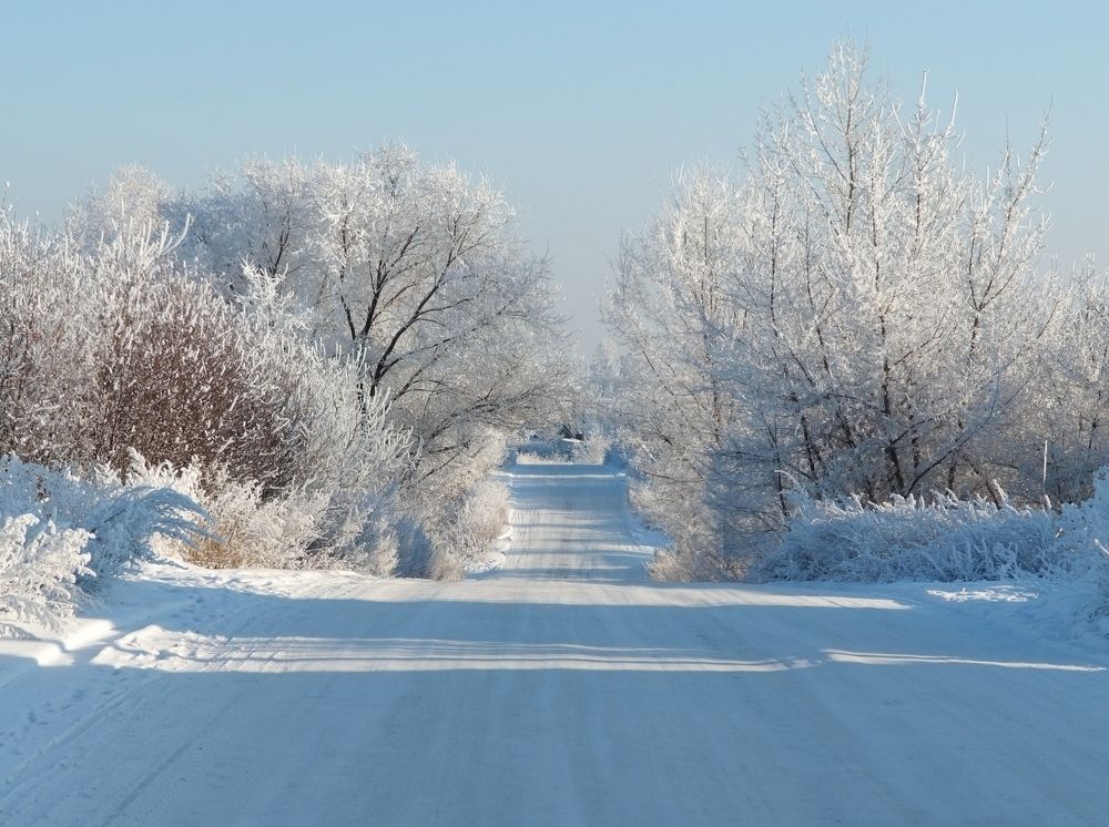 Photograph by Алексей Марков