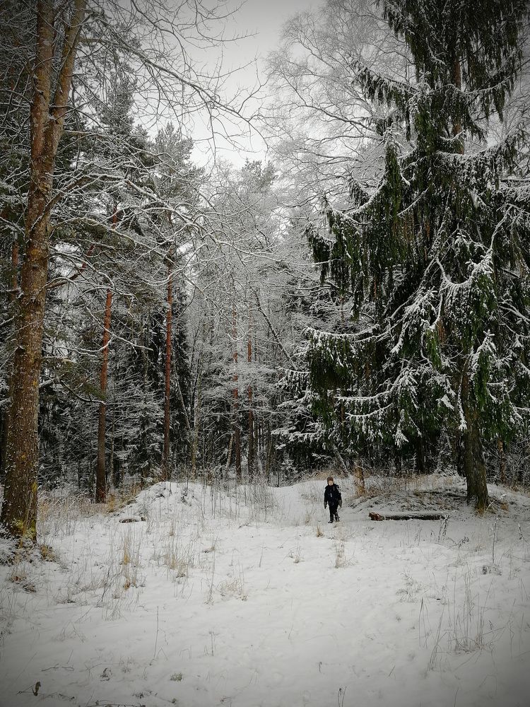 Зимняя сказка