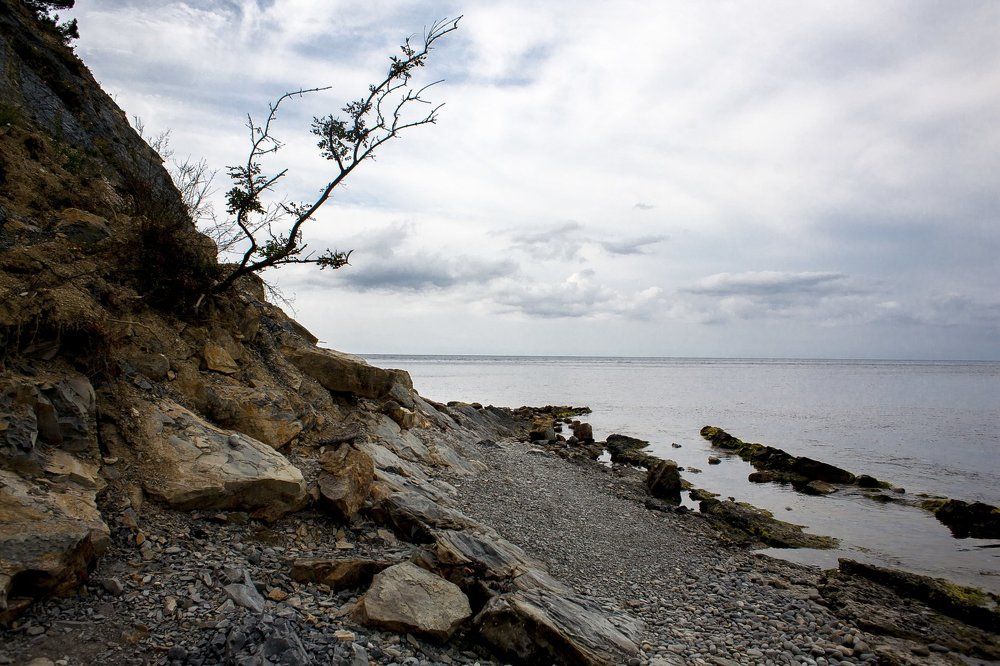 Поворот судьбы