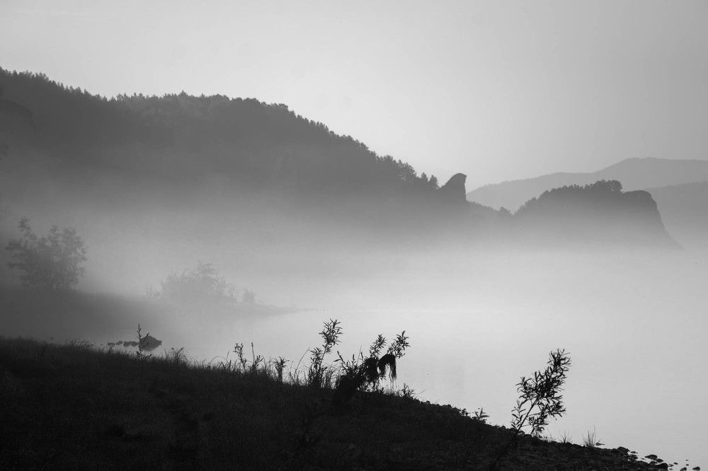 Photograph by Щербакова Галина