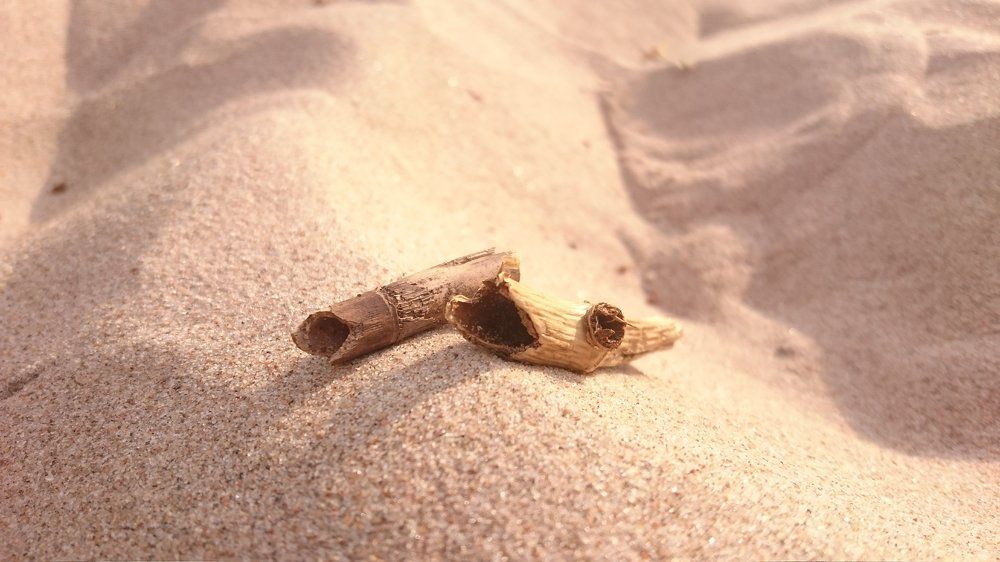 Лёжа на песке