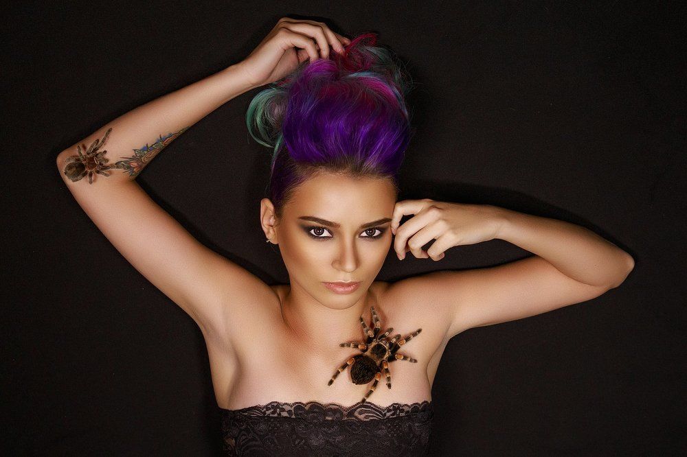 любимая зверюшка