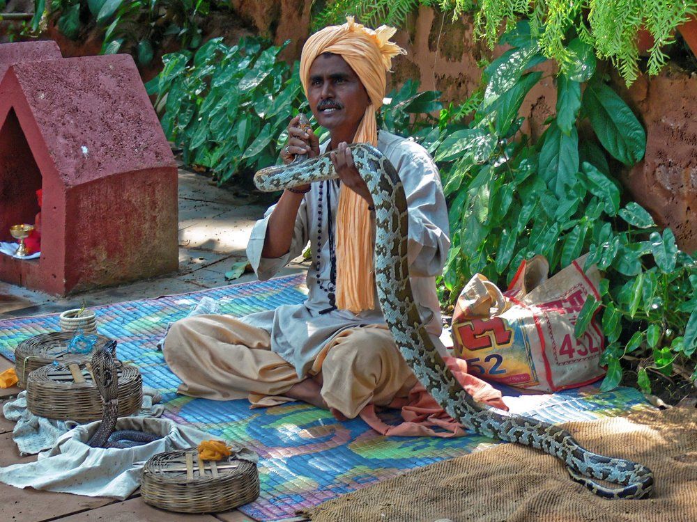 Заклинатель змей.