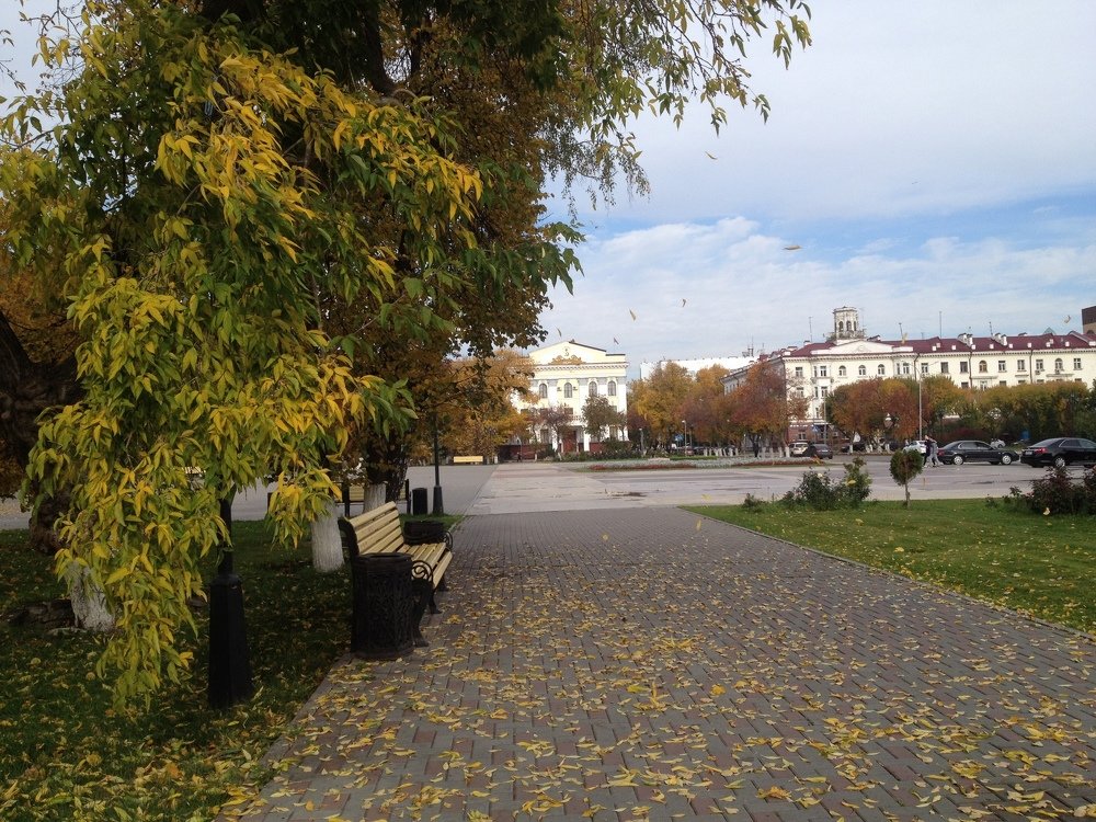 Тюменская осень...