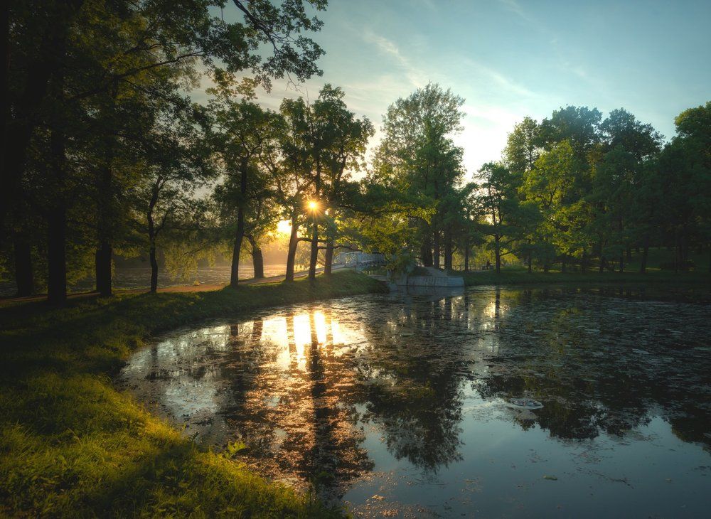 Ночь в Гатчине